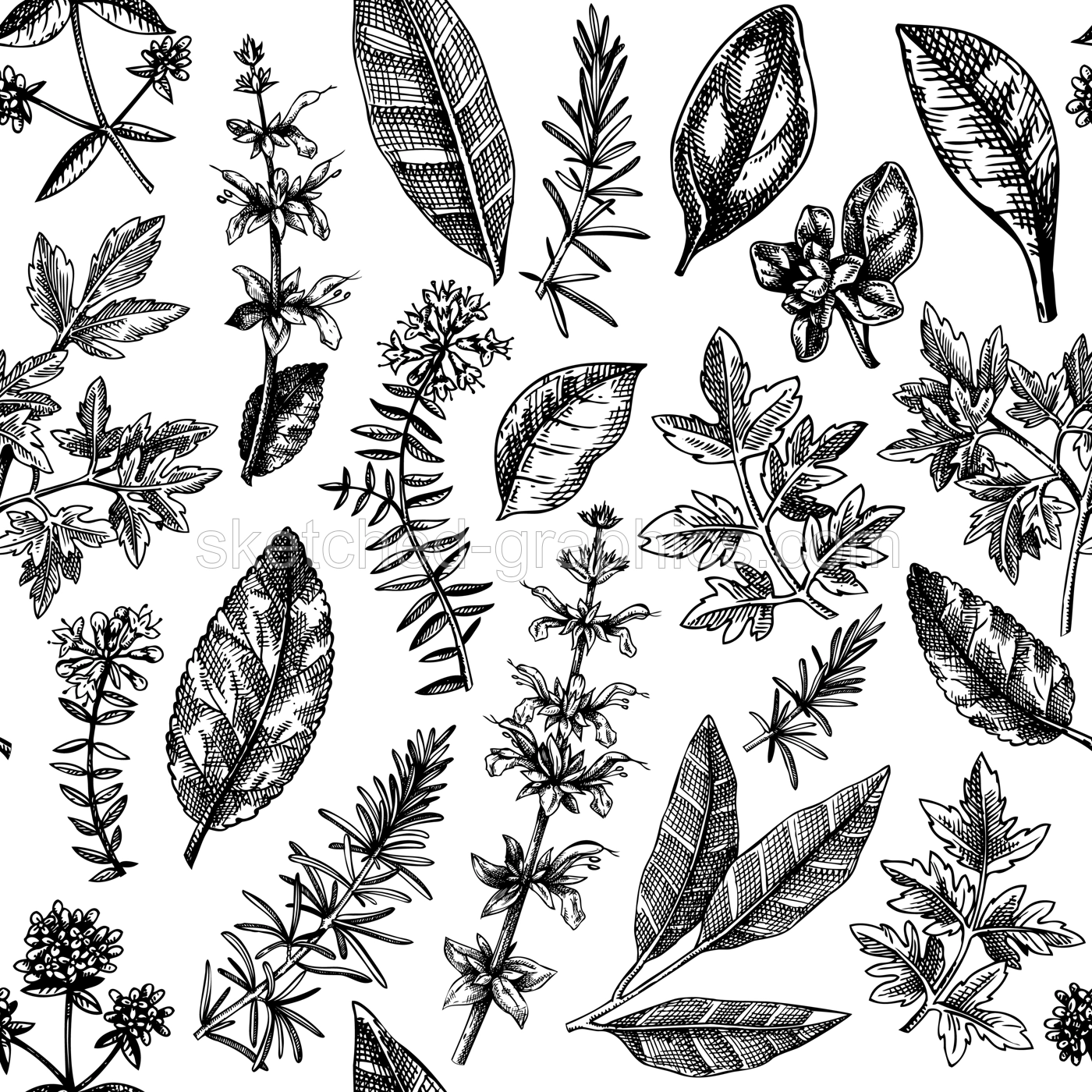 Vector background with typical herbs and spices leaves. Hand-sketched kitchen herbal plants for Italian cuisine seamless pattern. Aromatic food cooking ingredients backdrop. Hand drawn herbs design Illustration